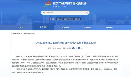 2025年第二批重慶市首版次軟件產品名單公示，引領行業創新與發展