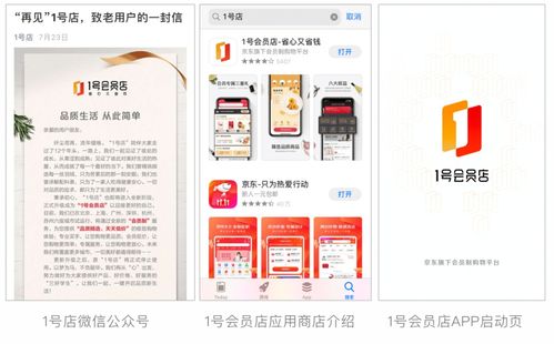 三個月盈利3000萬，定制軟件開發開辟會員電商新紀元
