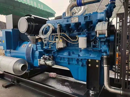 衡水長期提供本地發電機出租，租賃選康成機電設備